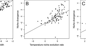 essay titles about ecology