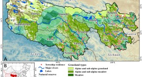 essay titles about ecology