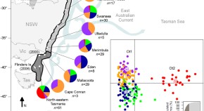 population ecology research papers