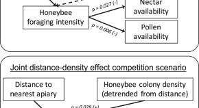 essay titles about ecology