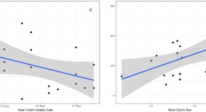 population ecology research papers