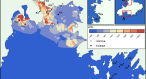 population ecology research papers