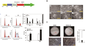 cell and molecular biology research articles