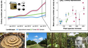 population ecology research papers