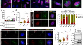 recent molecular biology research topics