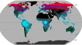 population ecology research papers