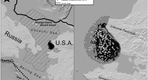 population ecology research papers