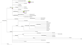 microbiology term paper topics