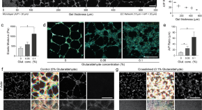 research paper topics in molecular biology