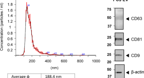 cellular biology research paper