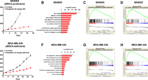 research paper on cancer biology