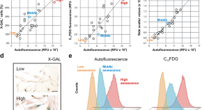 research paper topics in molecular biology