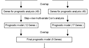 research paper on cancer biology research paper on cancer biology
