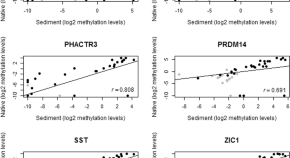 research paper on cancer biology