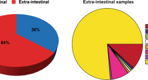 microbiology term paper topics