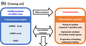 cellular biology research paper