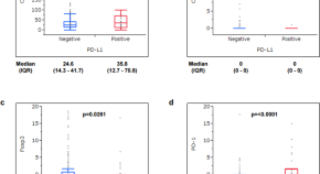 cancer introduction research paper