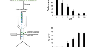 research paper topics in molecular biology