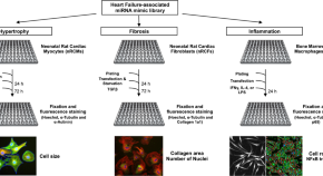 cellular biology research paper