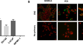 cellular biology research paper