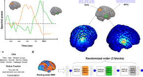 neuroscience research papers