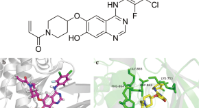 research paper on cancer biology