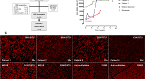 research papers on neurobiology