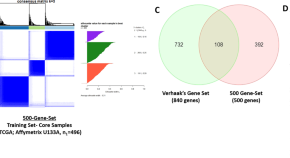 research paper on cancer biology