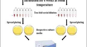 microbiology term paper topics