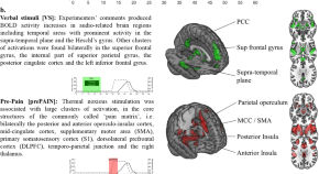 research papers on neurobiology