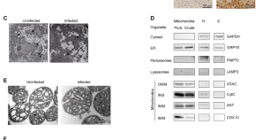 research paper topics in molecular biology