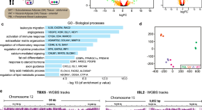 research paper topics in molecular biology