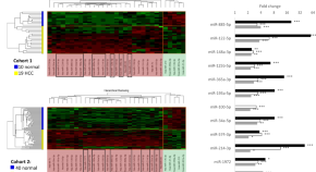 research paper on cancer biology