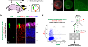 research papers on neurobiology