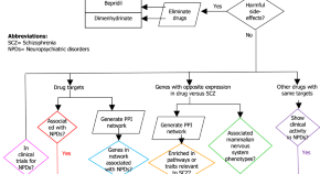 neuroscience research papers