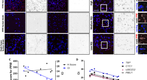 research papers on neurobiology