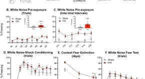 neuroscience research papers