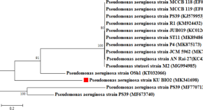 research papers microbiology free research papers microbiology free