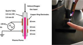 research papers microbiology free research papers microbiology free