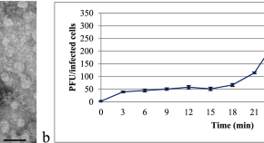 research papers microbiology free research papers microbiology free