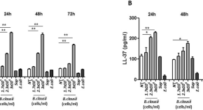 research papers microbiology free research papers microbiology free