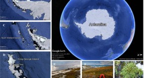 research papers microbiology free research papers microbiology free