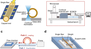 physics phd research topics