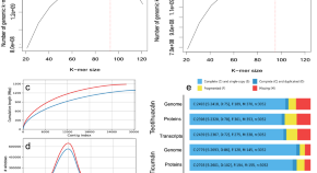 idea paper ecological research