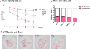 research articles neuroscience