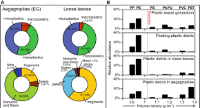 history of ecology research paper