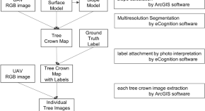 idea paper ecological research