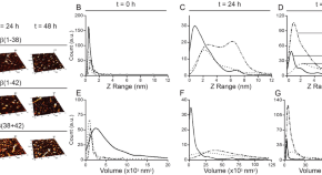 research articles neuroscience