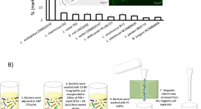 recent research topics in cell biology