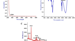 recent research topics in cell biology